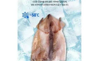 MD추천 구룡수산손질통오징어 특대 160g16미 사용법 및 가격