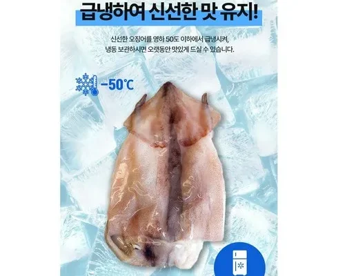 MD추천 구룡수산손질통오징어 특대 160g16미 사용법 및 가격