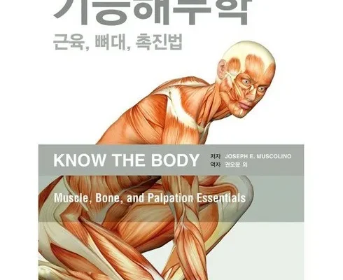 갑성비 추천템 베스트8 운동기능해부학 베스트8