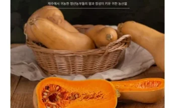 쿠팡추천 땅콩호박 상품리뷰