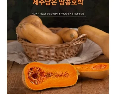 쿠팡추천 땅콩호박 상품리뷰